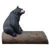 Bear On Log Photo Op Bench