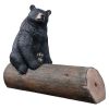 Bear On Log Photo Op Bench