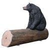 Bear On Log Photo Op Bench