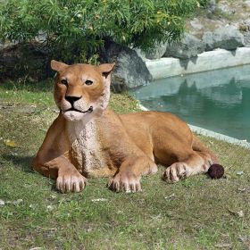 Grand Scale Lioness Lying Down Statue