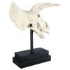 Triceratops Dinosaur Skull On Mount