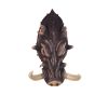 Bad Intentions Warthog Wall Trophy