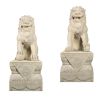 Male & Female Foo Dogs With Plinths