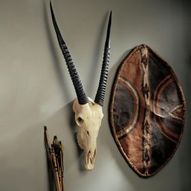 Gemsbok Wall Trophy