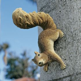 Simone The Squirrel