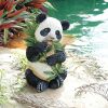 Tian Shan The Panda