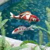 Set Of Med & Lg Japanese Koi