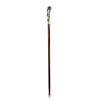 Andromeda Walking Stick