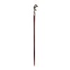 Eagle Talon Walking Stick