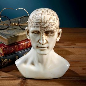 Phrenology Science Of The Brain Statue