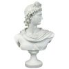 Apollo Belvedere Bust