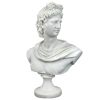 Apollo Belvedere Bust