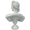 Apollo Belvedere Bust