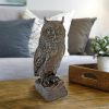 Owl Bronze Statue