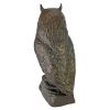 Owl Bronze Statue