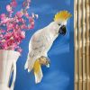 Sulphur Crested Cockatoo