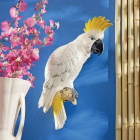 Sulphur Crested Cockatoo