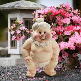 Sumo Gnome