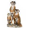 Meerkat Family