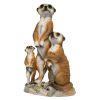 Meerkat Family