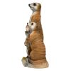 Meerkat Family