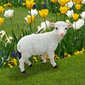 Standing Yorkshire Lamb