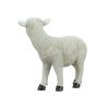 Standing Yorkshire Lamb