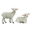 S/2 Yorkshire Lambs