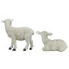 S/2 Yorkshire Lambs