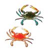 S/2 Tropical Crabs