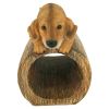 Golden Retriever On Log Rain Gutter