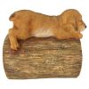 Golden Retriever On Log Rain Gutter