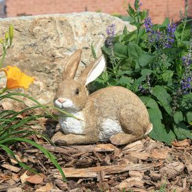 Bashful The Lying Down Bunny Statue