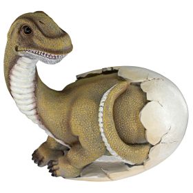 Baby Brachiosaurus Dino Egg Statue