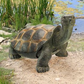 Elephant Tortoise Statue