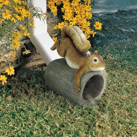 Crash The Squirrel Rain Gutter