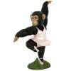 Chimp Doing Ballet In Pink Tutu