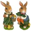 Set Of Bunny Hop Mother And Father