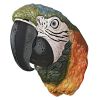 Paradise Parrot Head Plaque