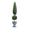 60In Classic Evergreen Topiary