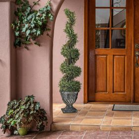 48In Spiral Boxwood Topiary