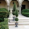 48In Classic Evergreen Topiary