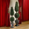 48In Classic Evergreen Topiary