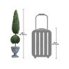 48In Classic Evergreen Topiary