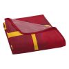 IOWA STATE OFFICIAL NCAA "Halftone" Micro Raschel Throw Blanket; 46" x 60"