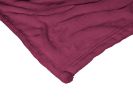 Texas Southern OFFICIAL NCAA "Alumni" Silk Touch Throw Blanket; 50" x 60"