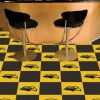 Southern Miss 18"x18" Carpet Tiles